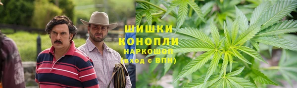 ECSTASY Вяземский
