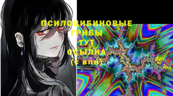 мдпв Вязники
