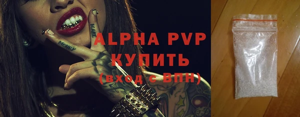 ECSTASY Вяземский