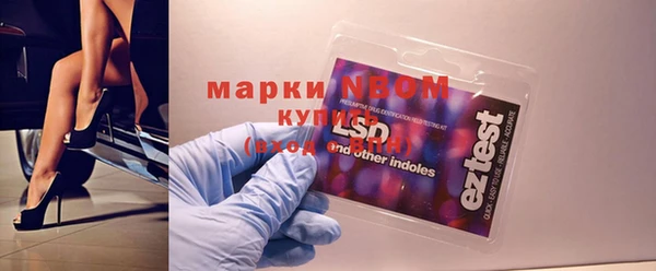 крисы Вязьма