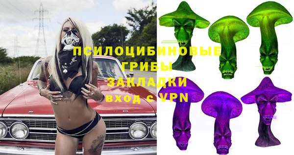 крисы Вязьма