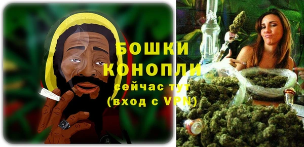 крисы Вязьма