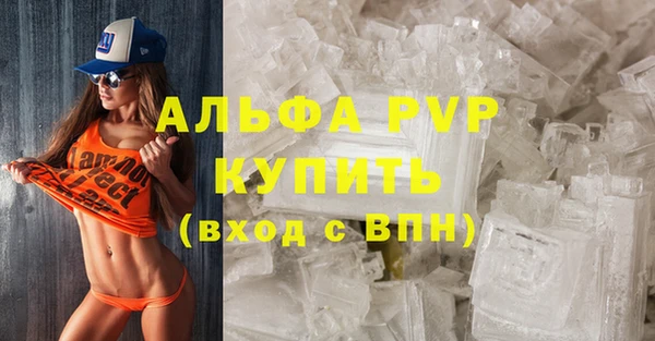 крисы Вязьма