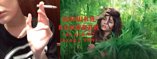 ECSTASY Вяземский